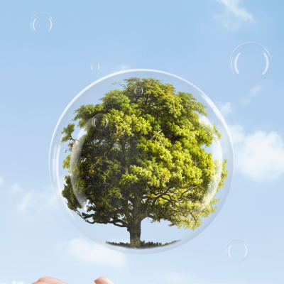 XCELLENT Promotion Bild für Landing-Page